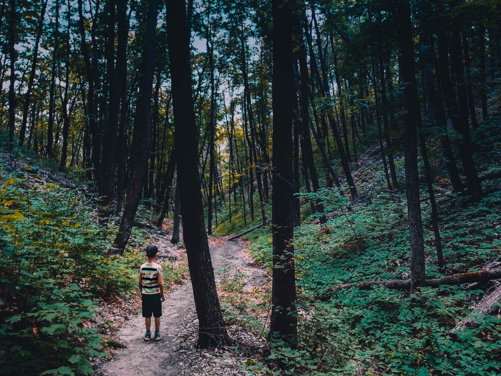 samotne dziecko w lesie